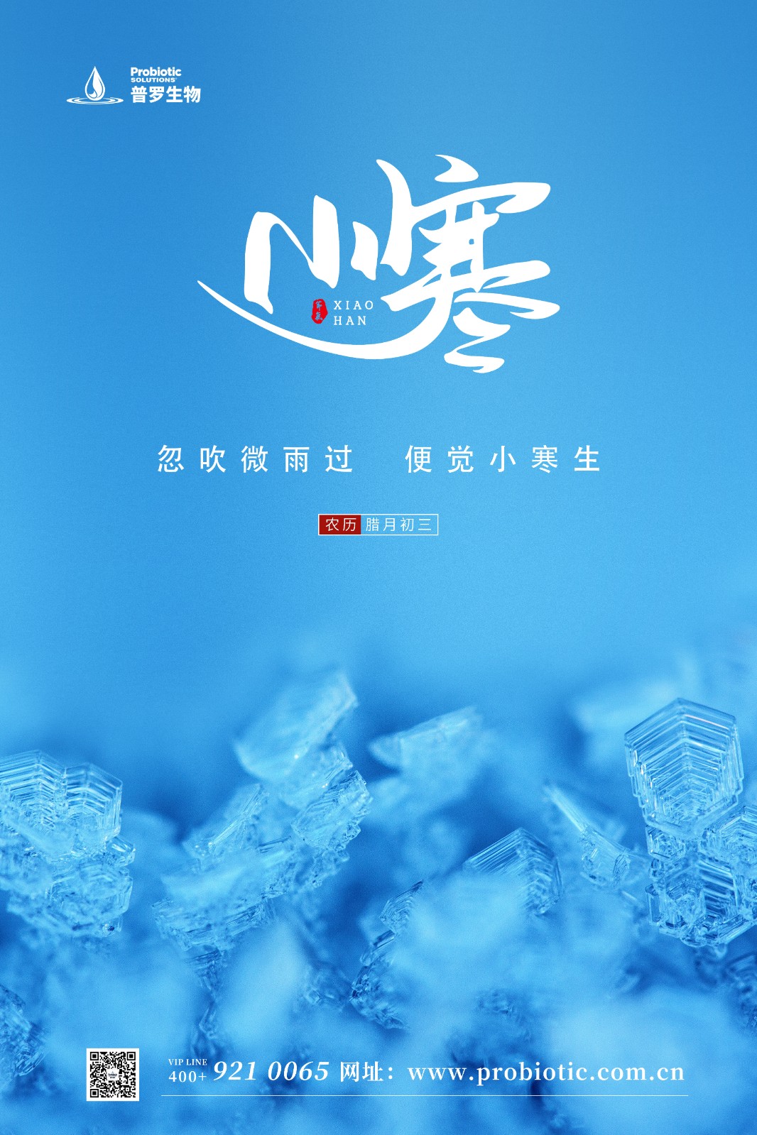 普羅生物|小寒