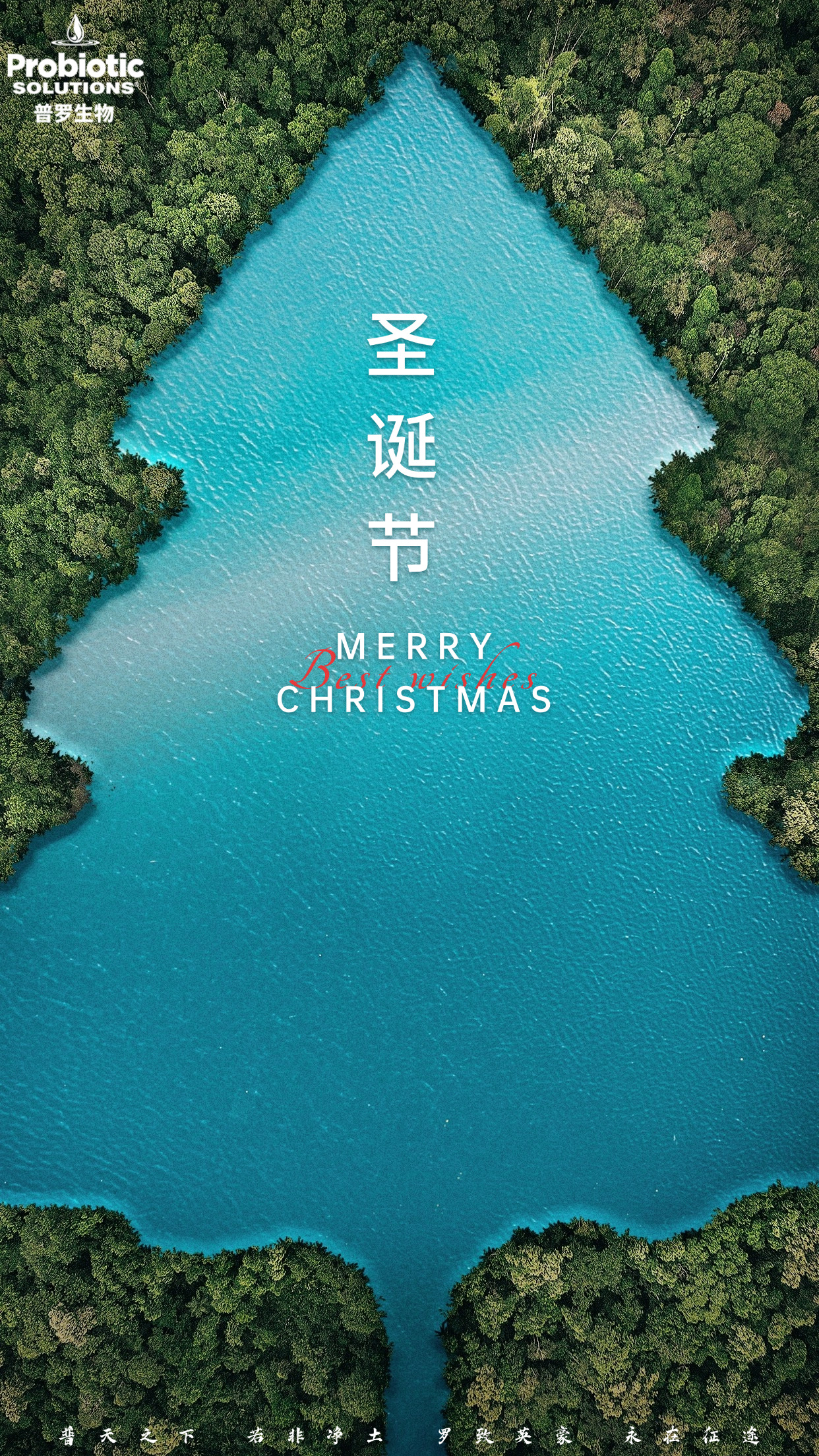 圣誕節(jié)